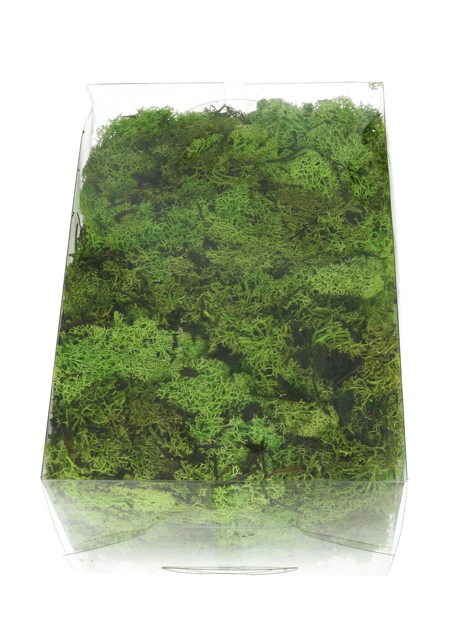 Islandmoos apfelgrün 1 kg