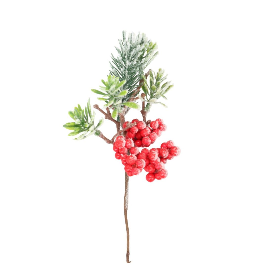 Pick Beeren Tanne beschneit 15 cm