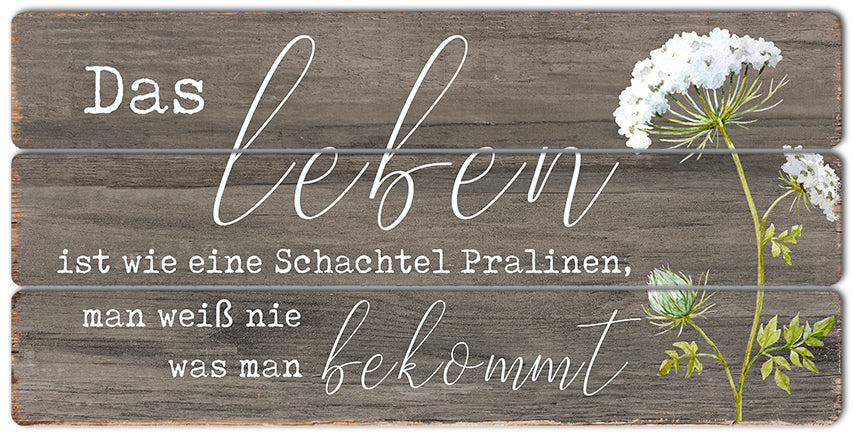 Bild "Das Leben ist wie eine Schachtel Pralinen ..."