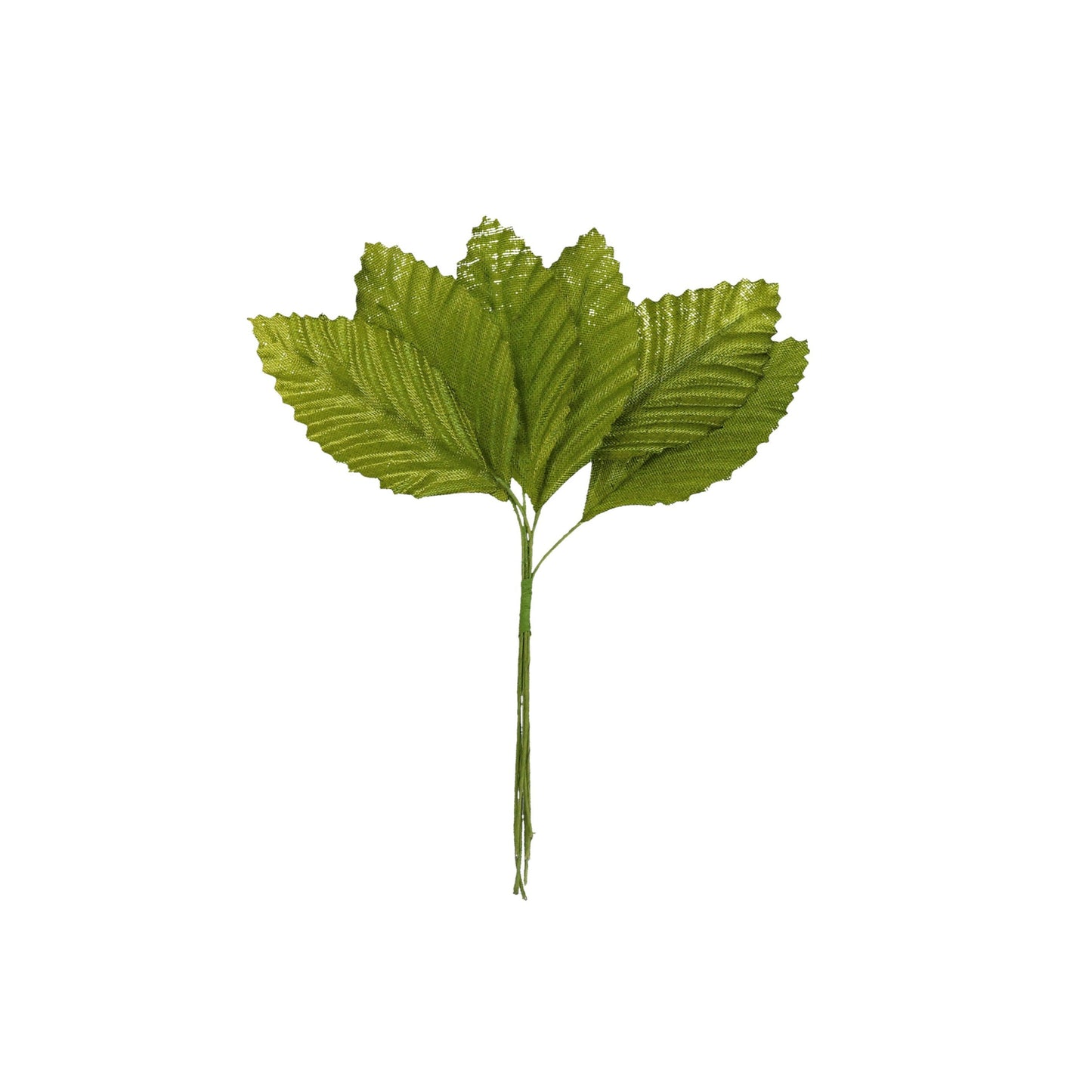 Blatt Rosen gold oder grün