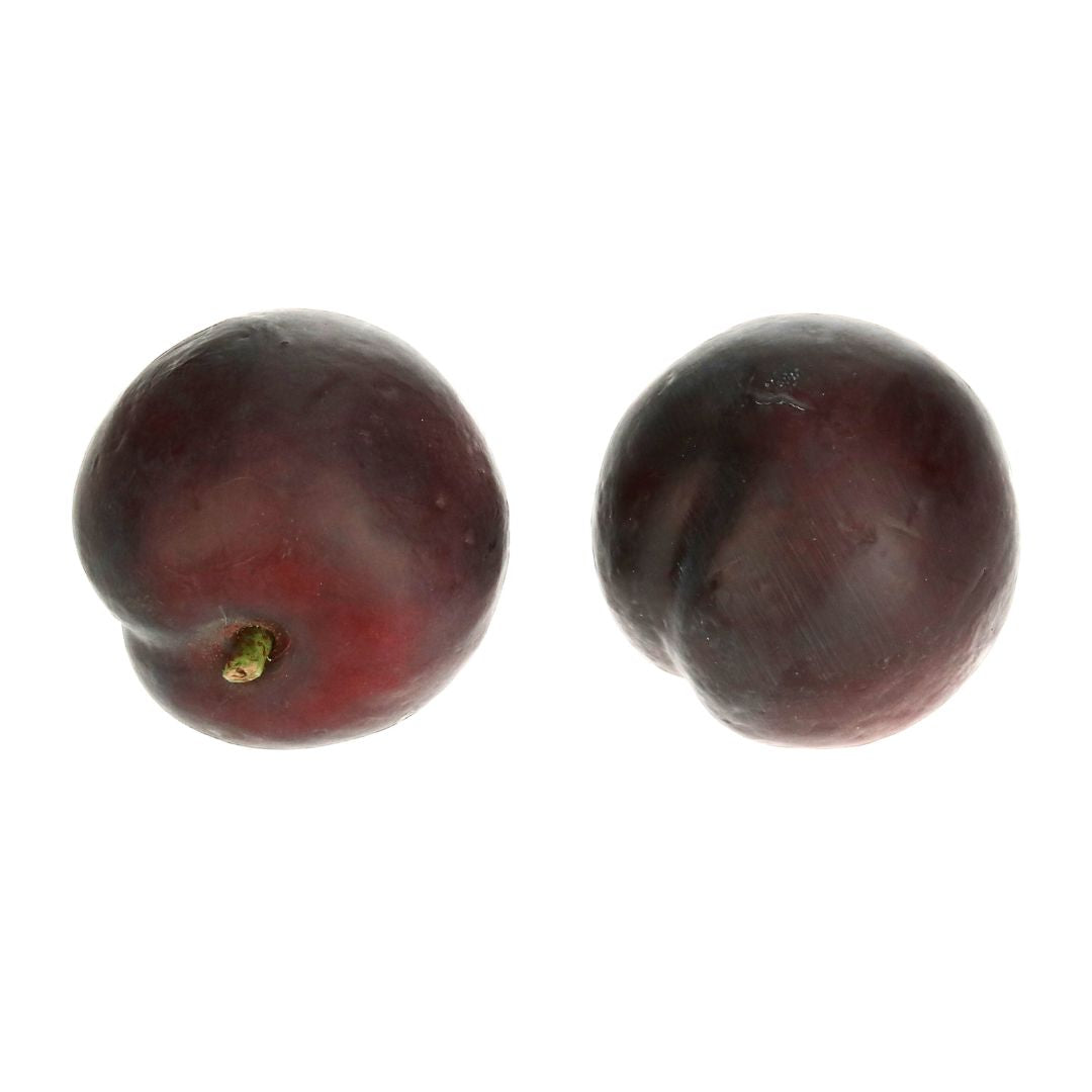 Pflaumen dunkel-lila - 5 cm