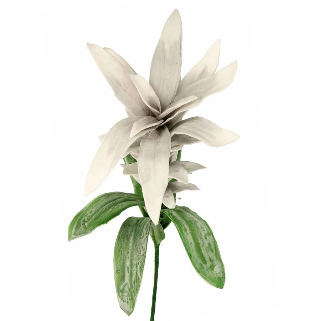 Schaumblüte Bromelie grau 90 cm