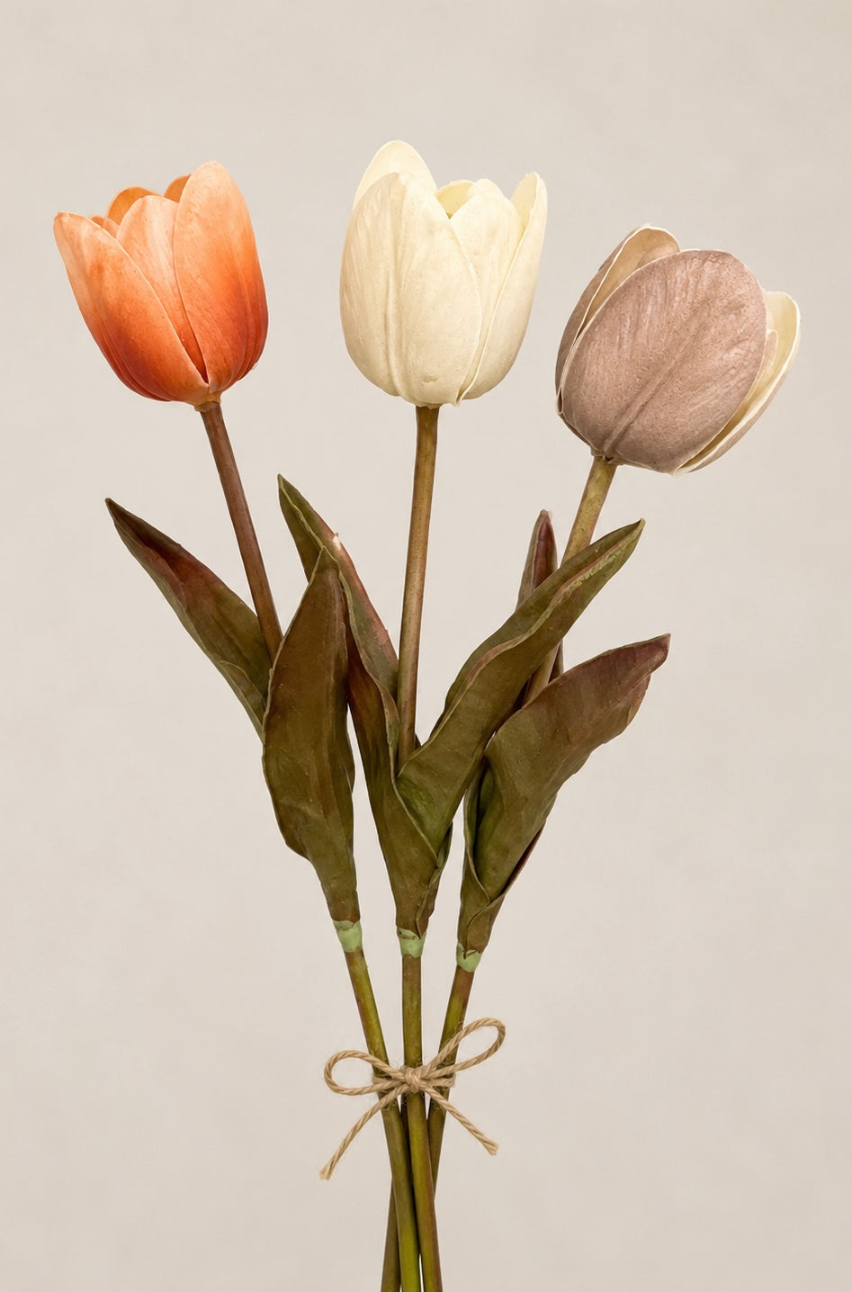 Tulpe 3-F.sortiert Gummi 5x30 cm VE 24 St.