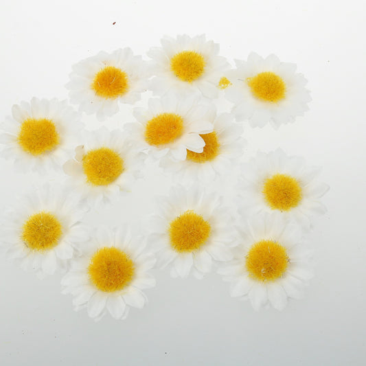 Margeritenköpfe - 3 cm (72 Stück pro Beutel)
