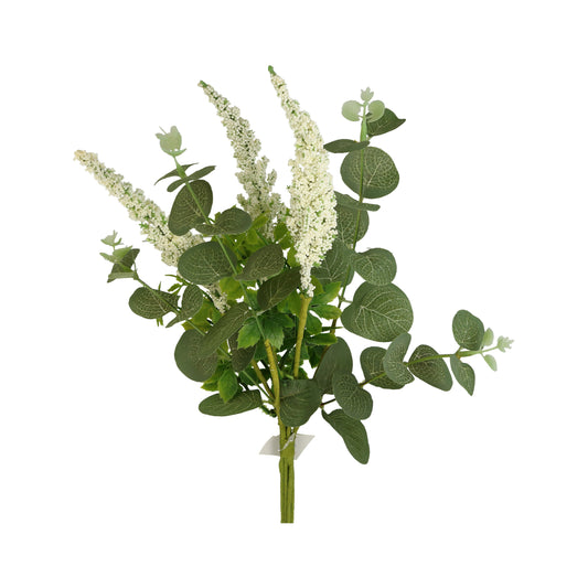 Strauß Eukalyptus mit Rispen