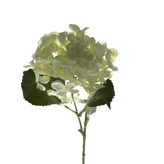 Blüte Hortensie weiß 47 cm