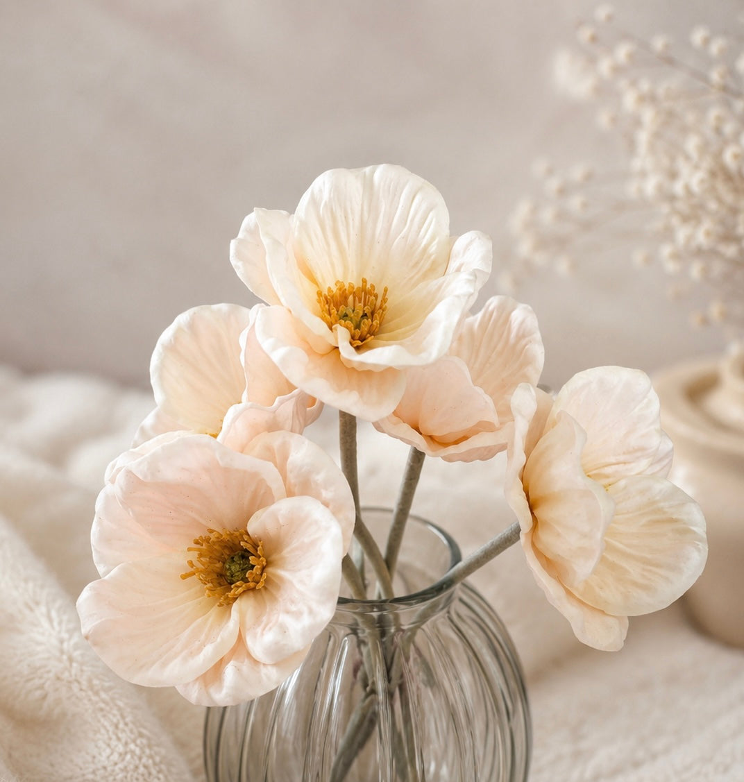 Anemone creme Bund mit 5 St. 30x7cm VE12