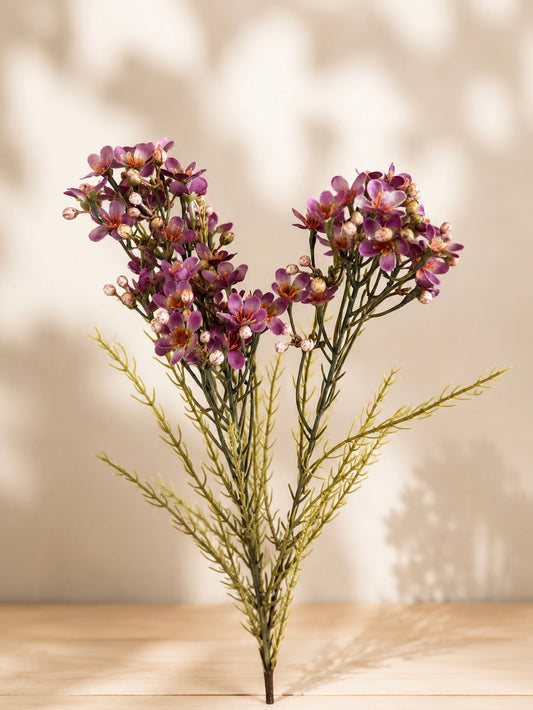 Wildblossom 3-teil.