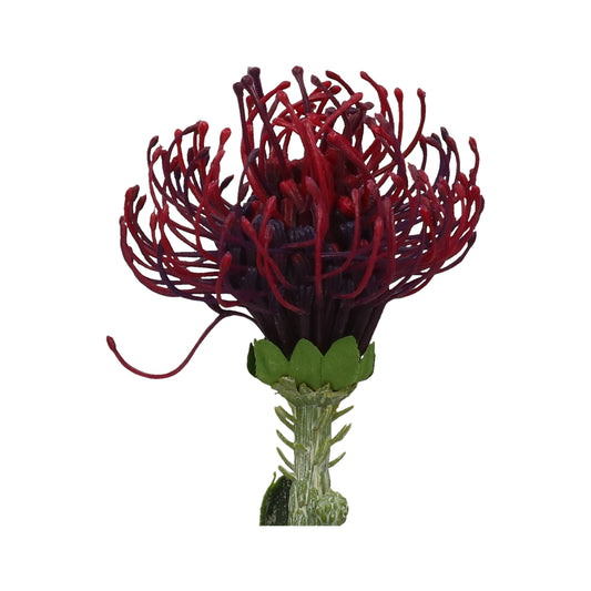 Fruchtstand bordo 47 cm