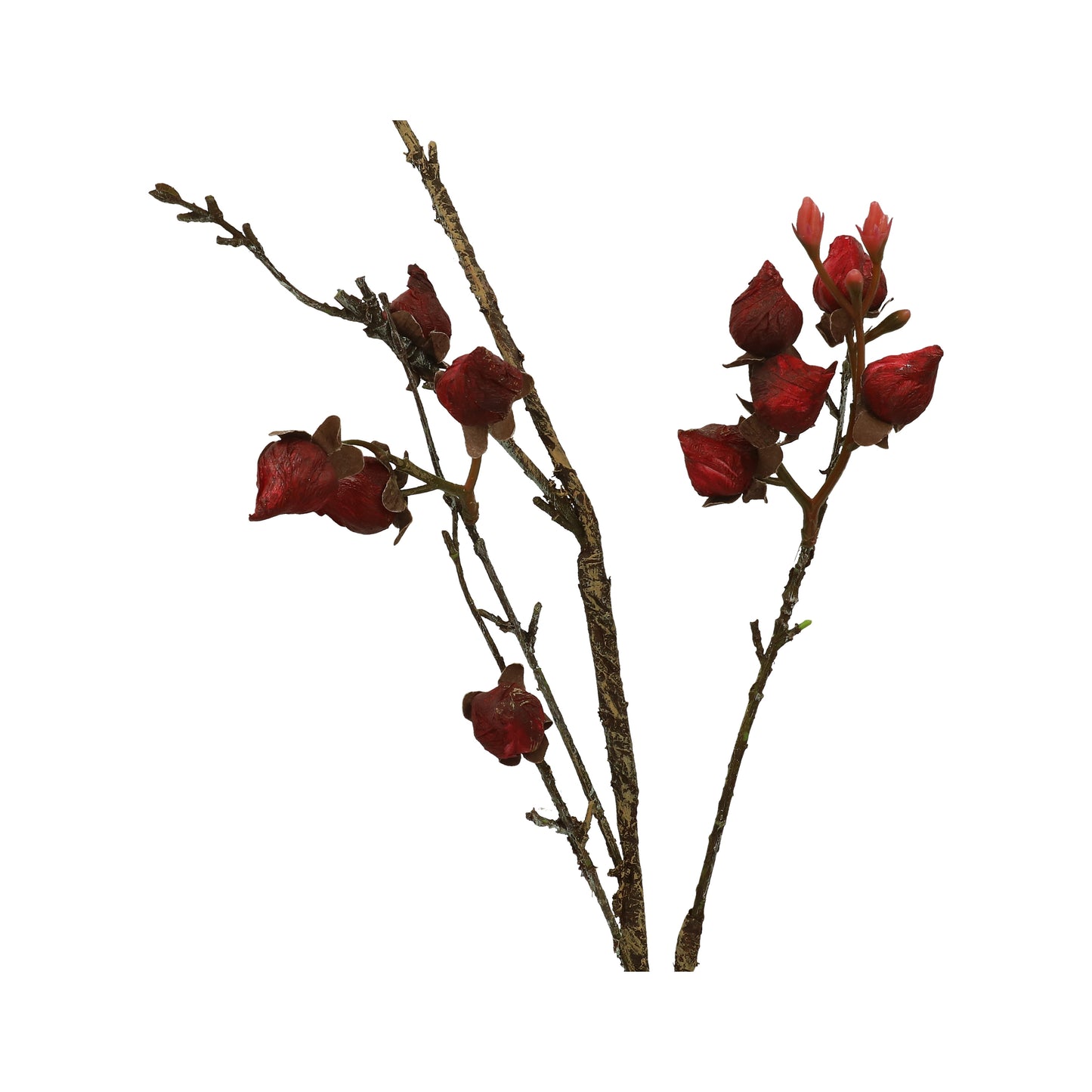 Rosenknospenzweig trocken 90 cm