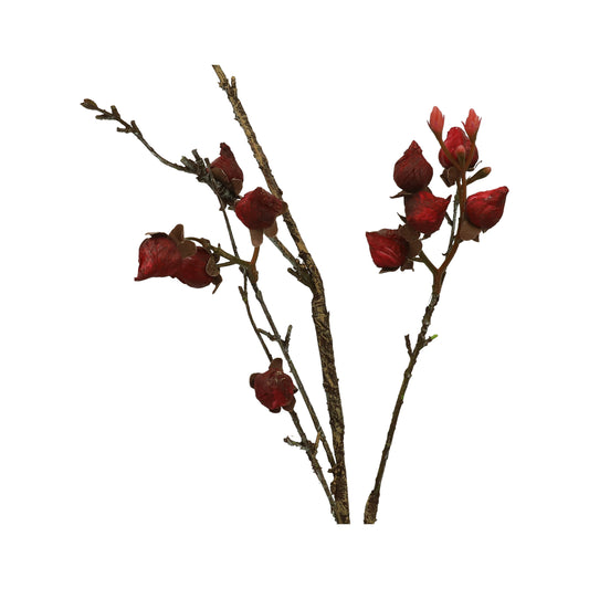 Rosenknospenzweig trocken 90 cm