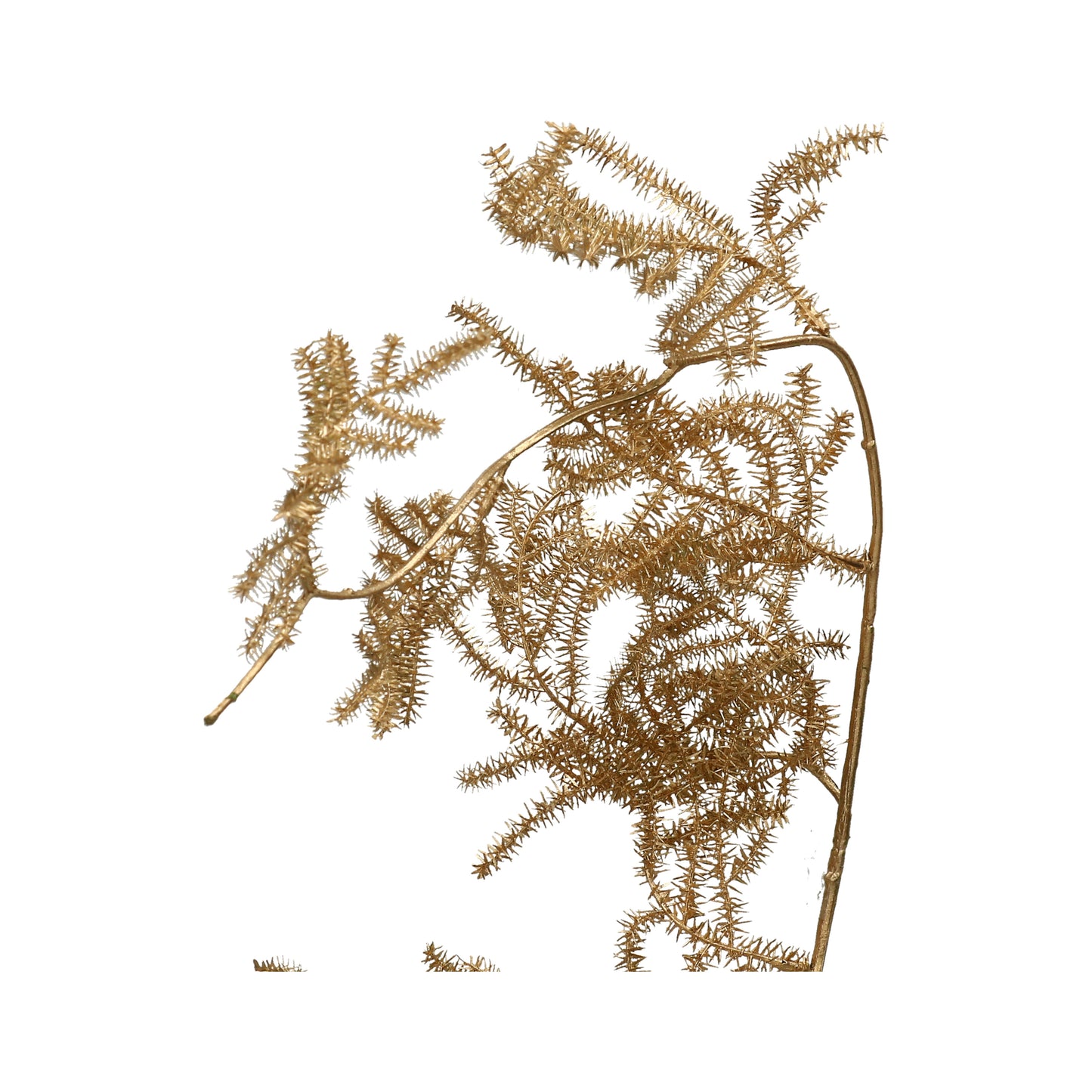Asparaguszweig gold 120 cm