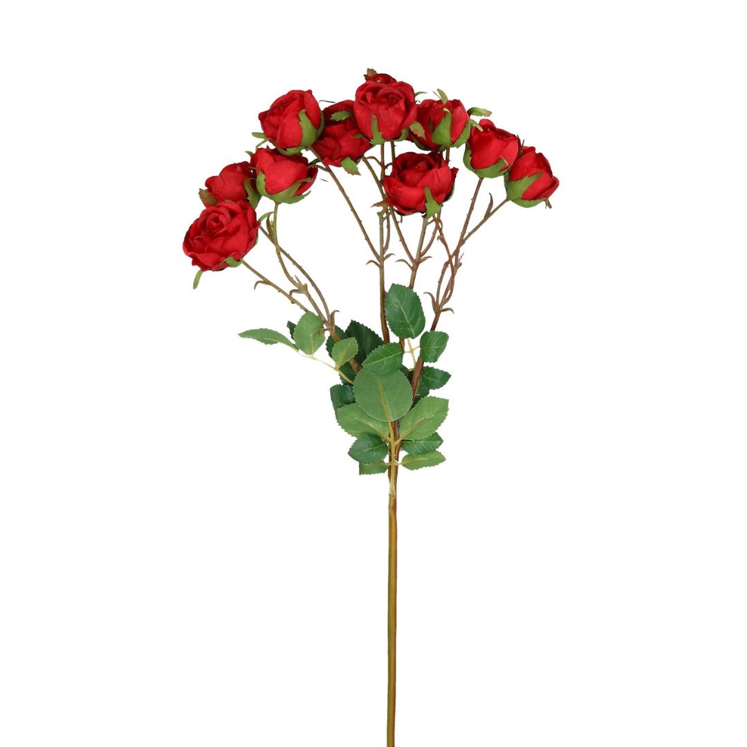 Zweig Rosen mit 12 Blüten rot