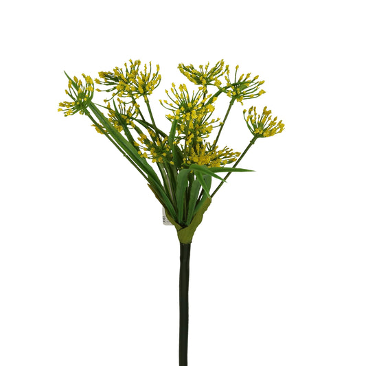 Blüte Wilde Möhre gelb 80 cm