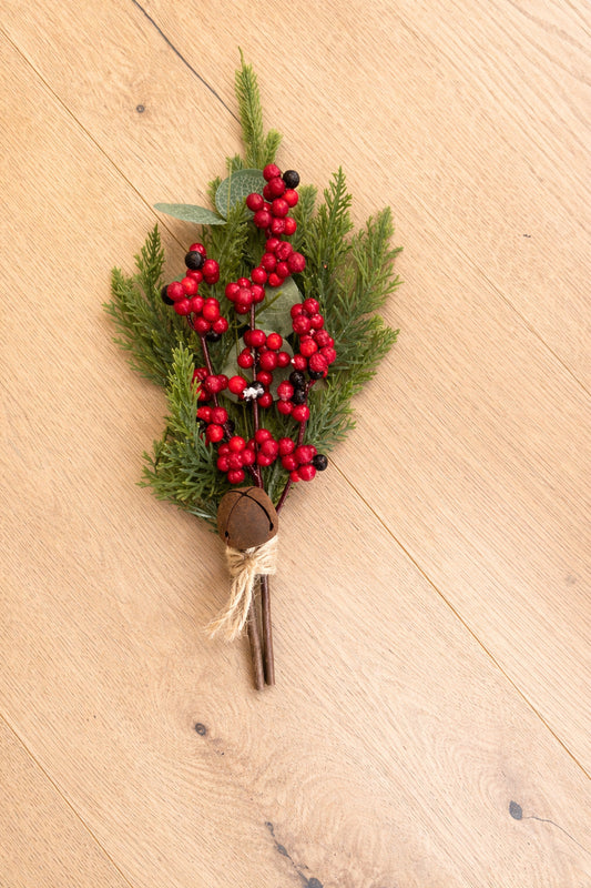 Thuja mit roten Beeren 35 cm VE 12