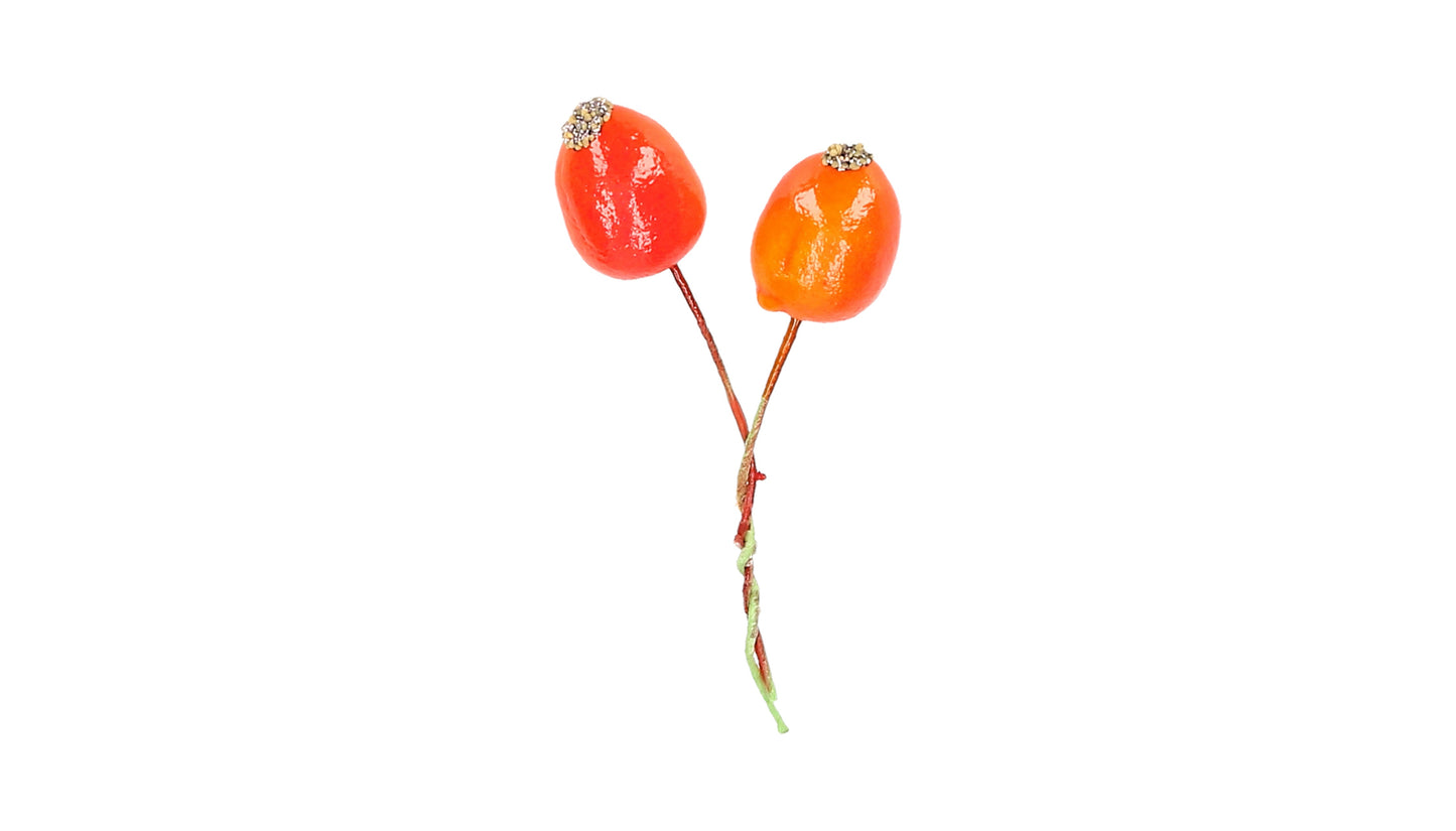Hagebutte orange 1,5 cm 100 Stück
