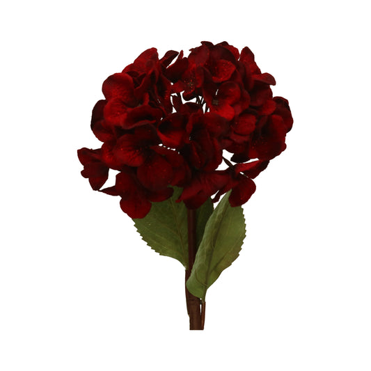 Hortensie bordo Glimmer 17/40 cm