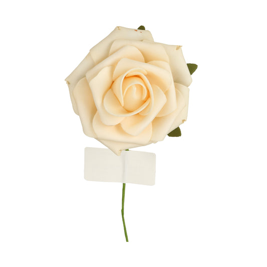 Schaumrose Creme - 8 cm