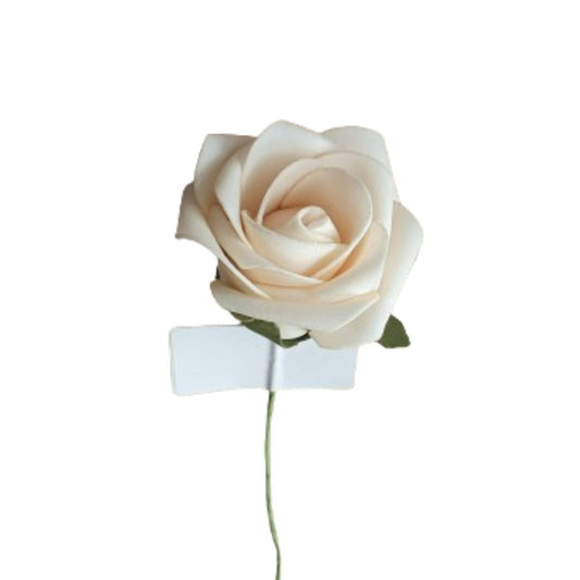 Schaumrose Creme - 5 cm