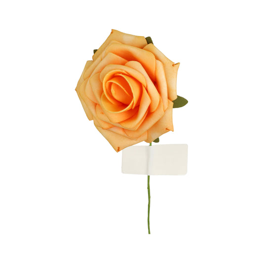Schaumrose Apricot - 8 cm