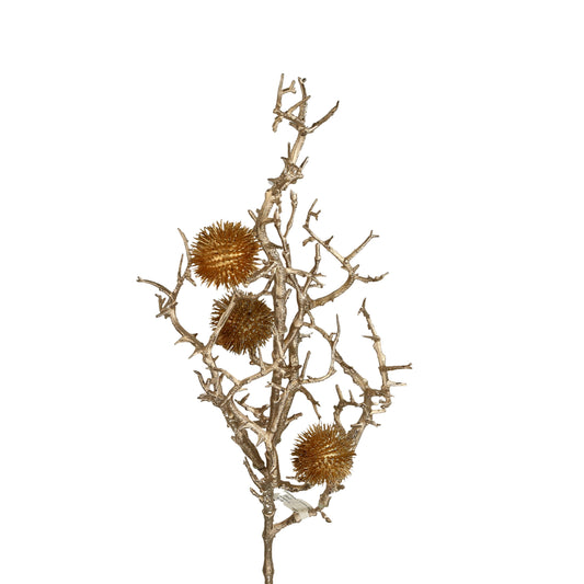 Zweig Echinops gold 58 cm