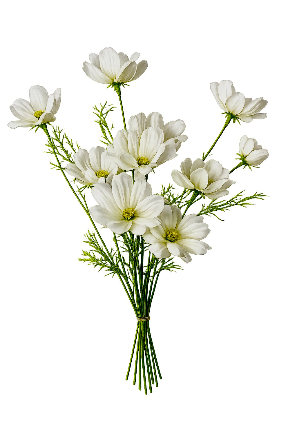 Narzissenbund natur 6 St.30 cm