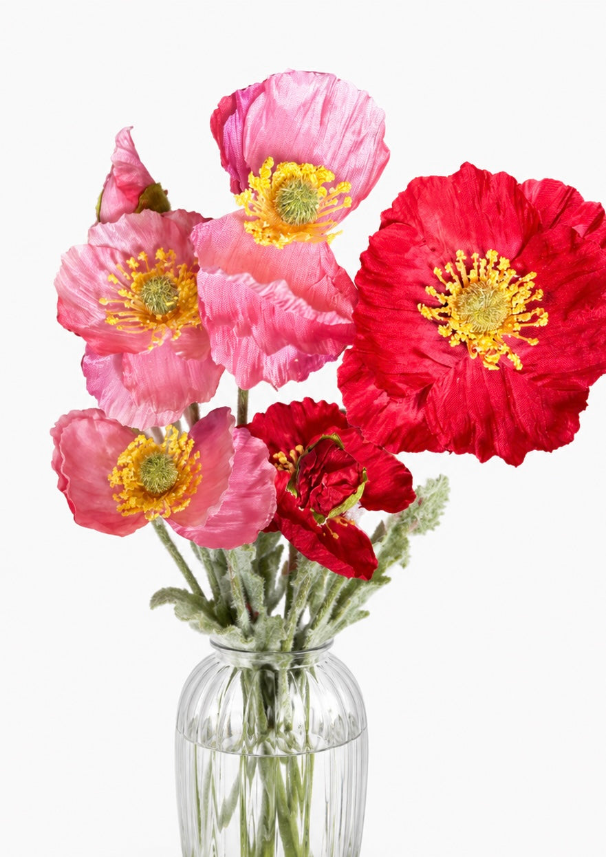 Mohn rosa/rot sort.60 cm 3 BL. VE 24