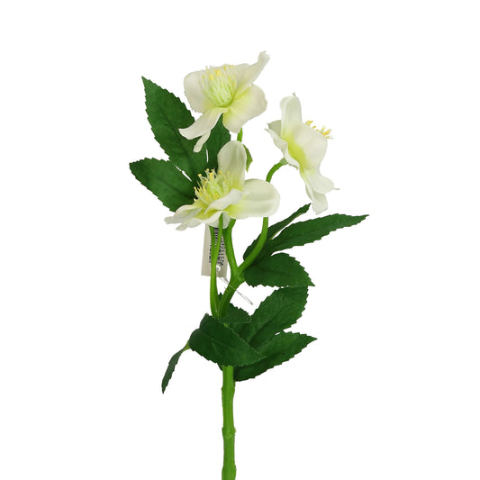 Zweig Christrose weiß 36 oder 62 cm