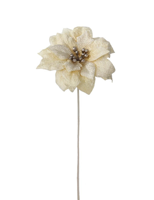Poinsettia Creme - 33 cm