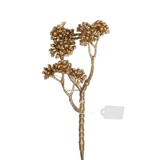 Pick Sedum gold 25 cm