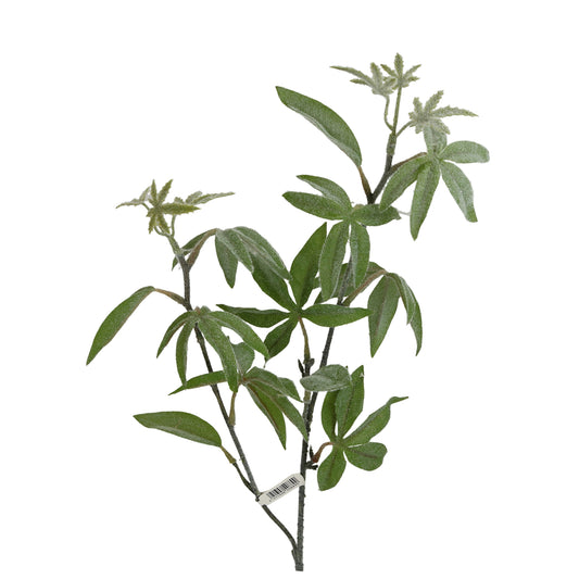 Zweig Bitternuss grün 66 cm