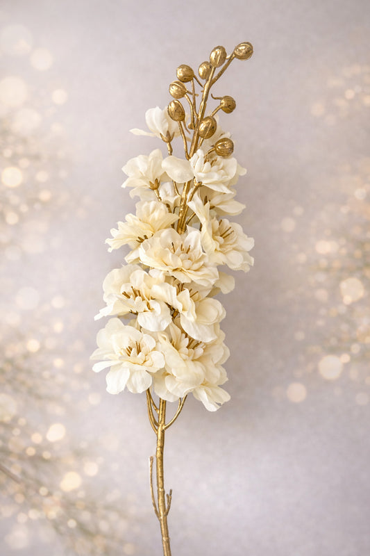 Delphinum creme/gold 80 cm VE 12