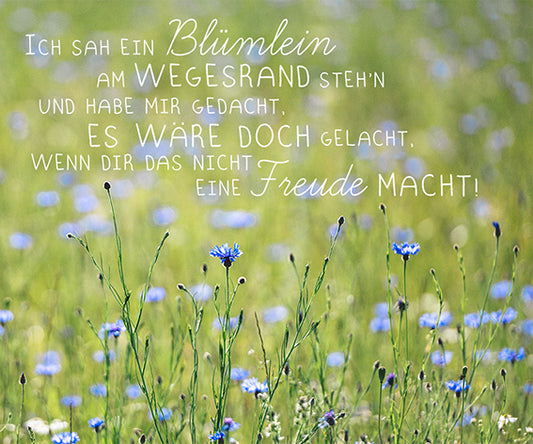 Bild "Ich sah ein Blümelein..."