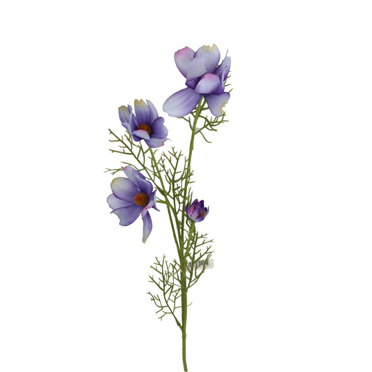 Blüte Cosmea blau, rosa oder gelb 97 cm