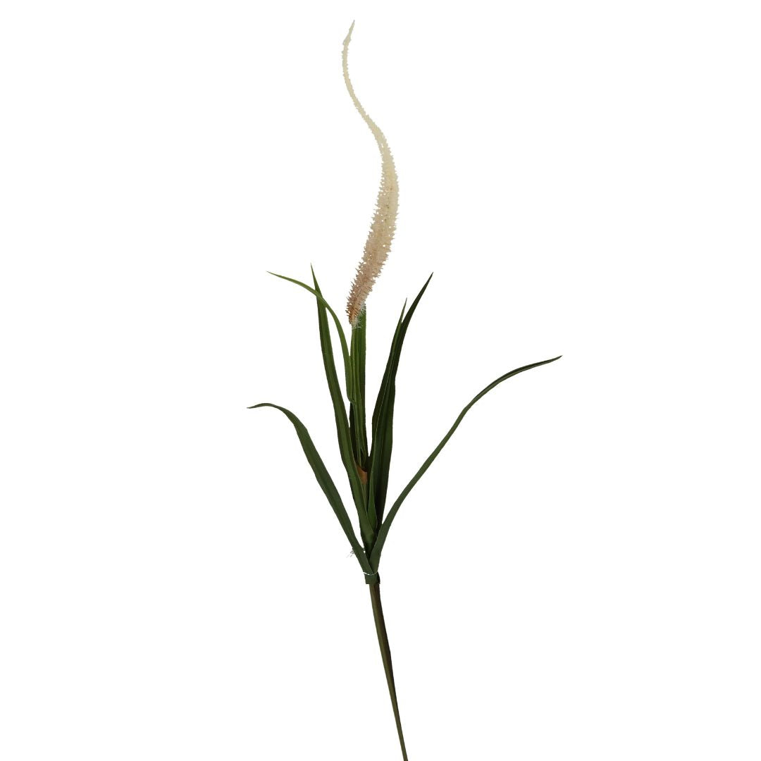 Zweig Silberhaargras mit Blüte grün/weiß 104 cm