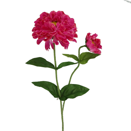 Blüte Zinnie Ponpon 69cm, pink