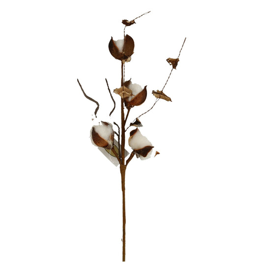 Baumwollzweig x4, 43cm