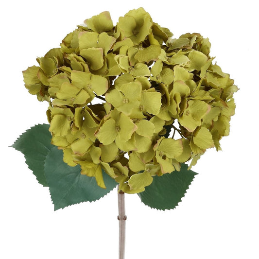 Hortensie grün 80 cm