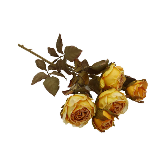 Rose antik gelb 5 Blüten 44 cm