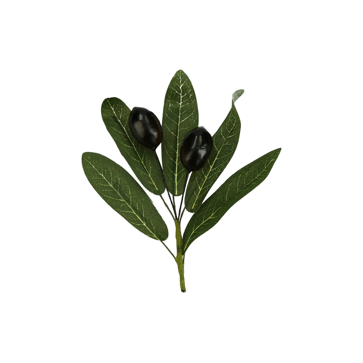 Pick 2 Oliven mit 5 Blätter 10 cm