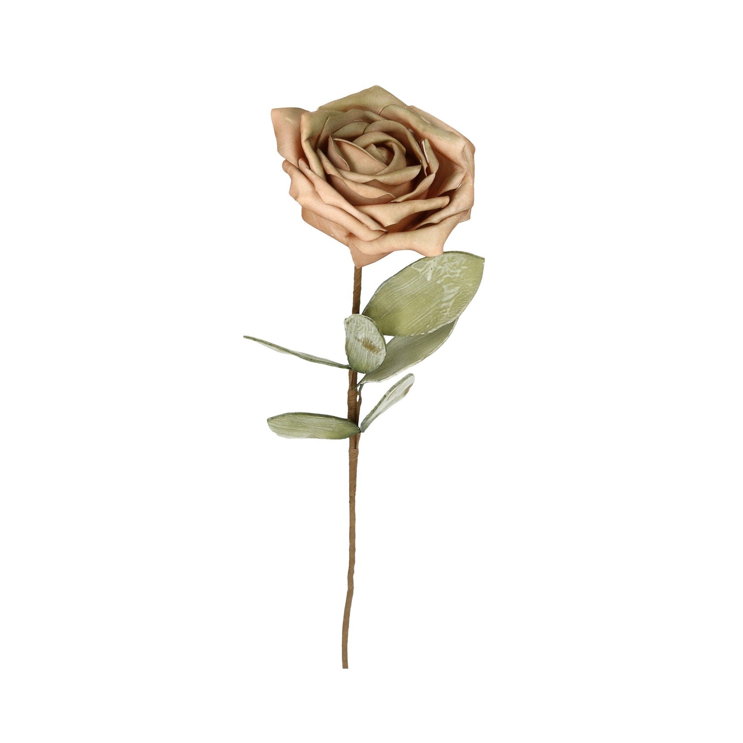 Schaumblüte Rose braun/grün antik 60 cm