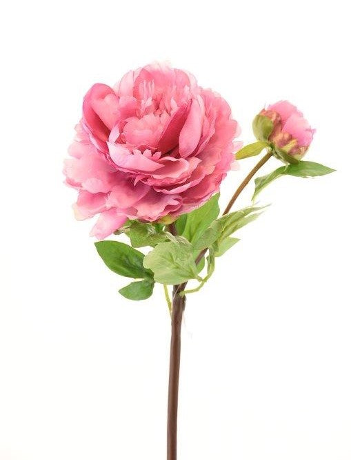 Blüte Päonie pink 54 cm