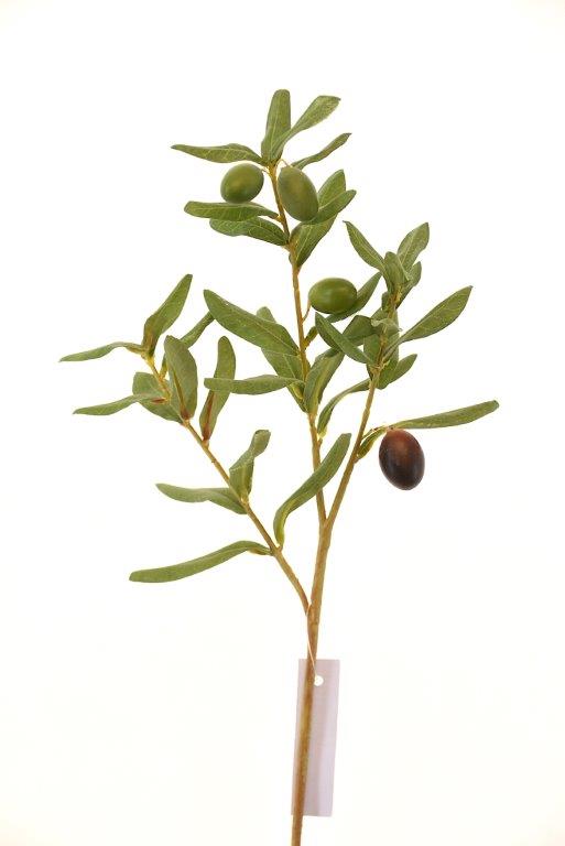 Zweig Olive grün 55 cm