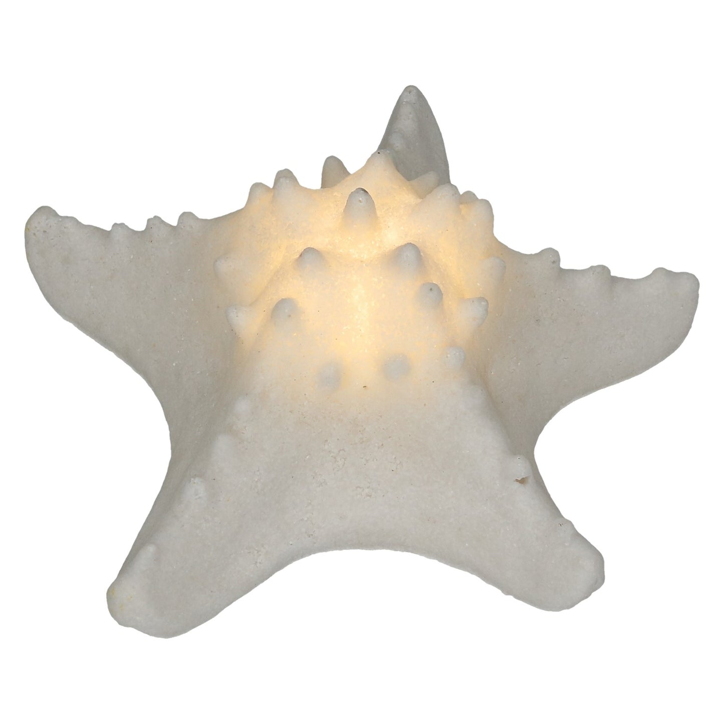 Licht Seestern mit Fernbedienung 16 cm