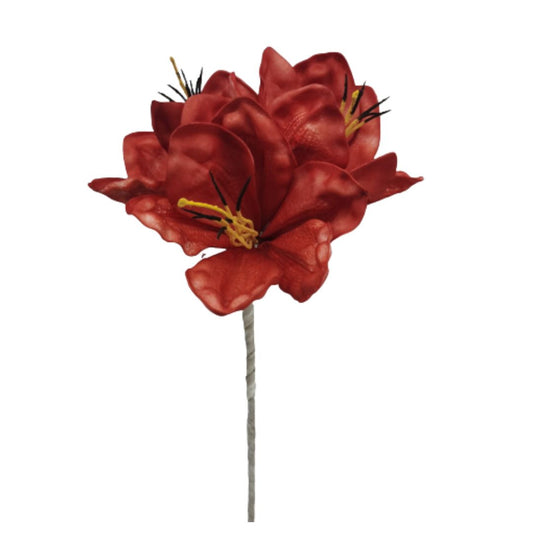 Blüte Amaryllis 77 cm rot