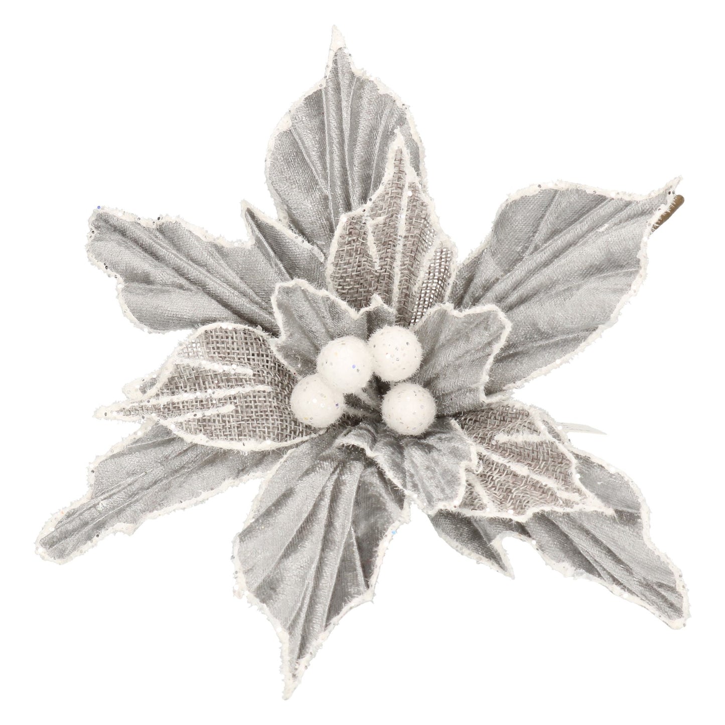 Pick Poinsettia grau mit weißem Rand 20 cm