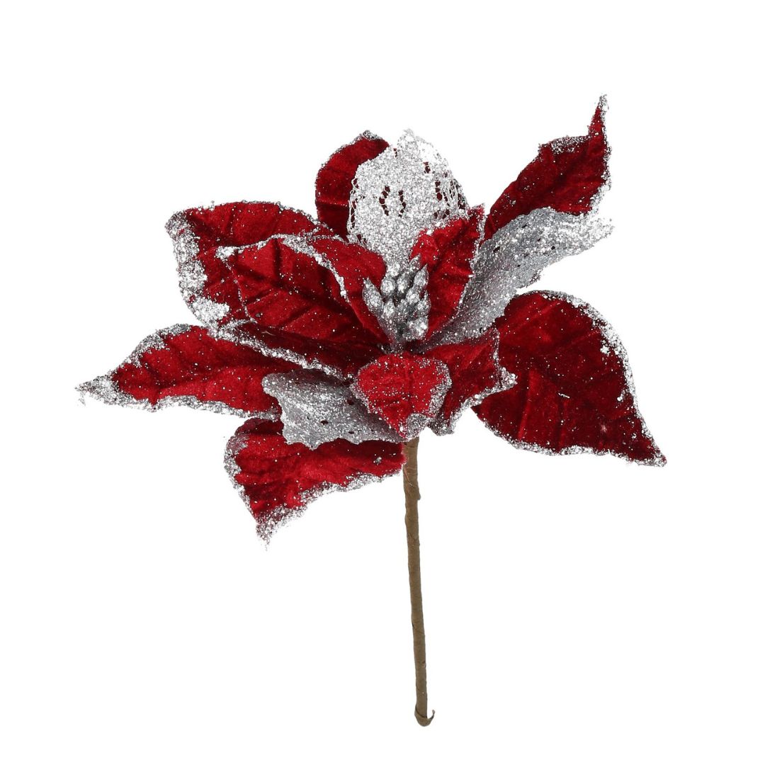 Pick Poinsettia rot mit silbernem Rand 2 Größen