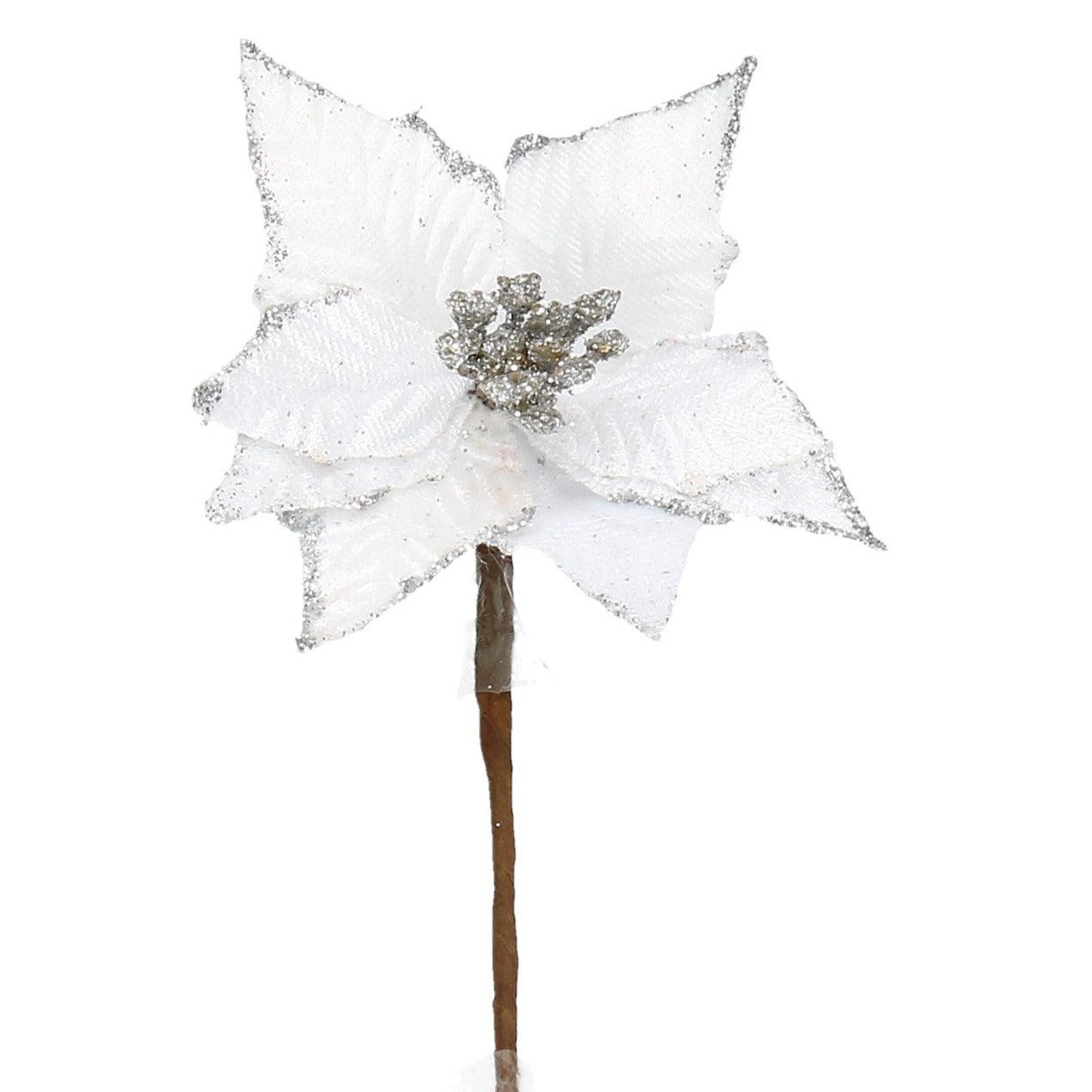Pick Poinsettia weiß mit silbernem Rand 9 cm