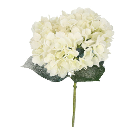 Blüte Hortensie weiß beschneit 63 cm