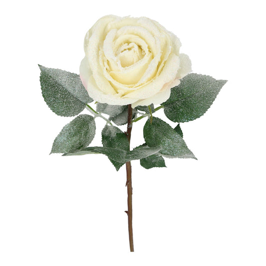 Blüte Rose weiß beschneit 63 cm